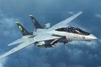 F-14D Tomcat - Image 1