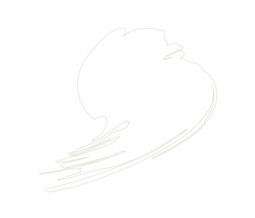 HTK-C101 Traffic White ( RAL 9016 ) - Image 1